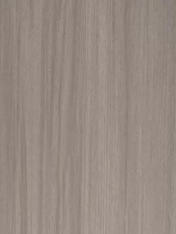 灰羽时代